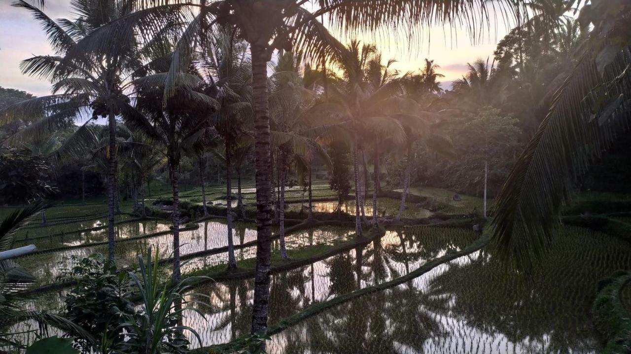 דירות טטבאטו Bale Kembang Kuning מראה חיצוני תמונה